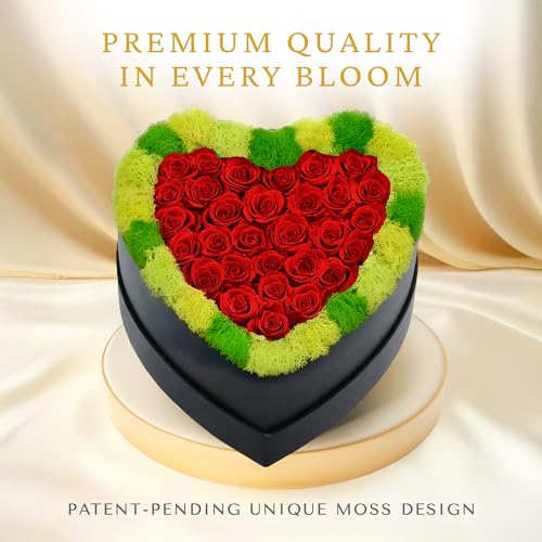Moss Heart 30 Preserved Roses in Heart-Shaped Box, Real Forever Roses Home Décor Arrangement, Long-Lasting 1+ Year, No Watering, Valentine’s Day, Birthday for Wife, Girlfriend