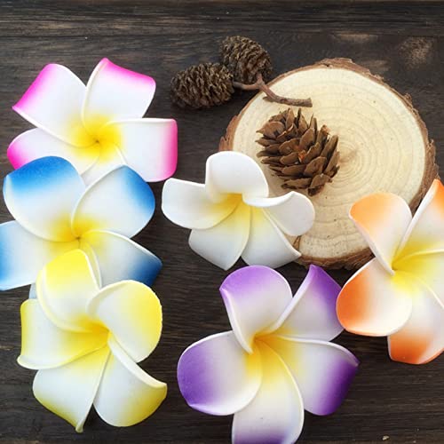 CBLUO 12 Pcs Plumeria Flower Hair Clips Hawaiian Luau Beach Hair Barrettes