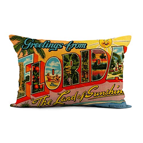 HODKHNO Vintage USA Travel Pillow Cover 12x20 Inch for Sofa