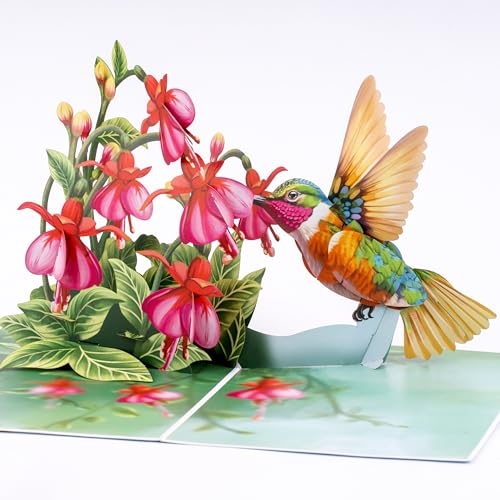 POPWOW Hummingbird 3D Pop Up Card with Fuchsia Flowers - 5x7 Inch