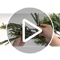32Pcs 18 Inch Artificial Norfolk Pine Branches Christmas Greenery - Real Touch Foliage