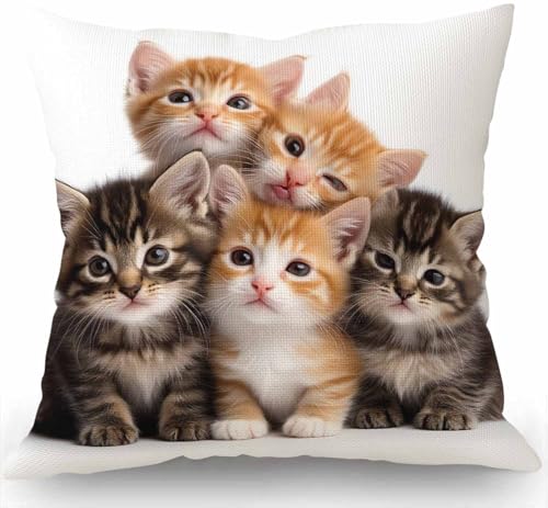 Swono Kittens Family Cats Throw Pillow Cover Sw-014, 18x18 Inch