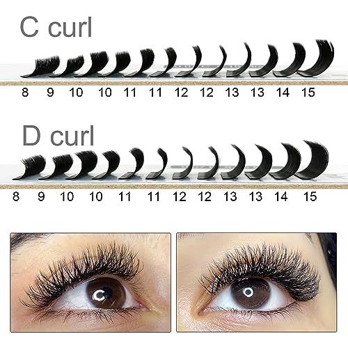 COZBIRD Double W Shape Premade Lash Fans 6D Volume Eyelash Extensions D Curl 0.07mm 12mm