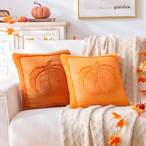 AQOTHES Pumpkin Fall Orange Rust Throw Pillow Cover 18 x 18 - Set of 1, Autumn Decor