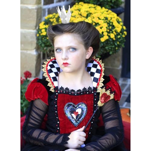 CIEHER Silver Crown Headband Queen Princess Costume Tiara for Women