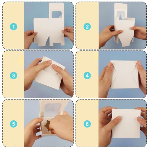 25 Pack White Cupcake Boxes with Window & Dividers - 3.5"