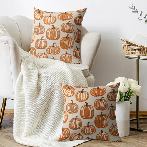 Fall Thanksgiving Pillow Covers Set of 2 - 18x18 Burnt Orange Pumpkin