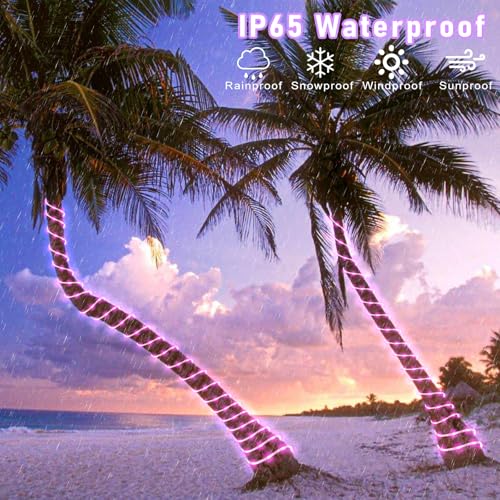 Pink 100FT 300 LED Rope Lights for Outdoor Indoor Decor - Connectable Waterproof