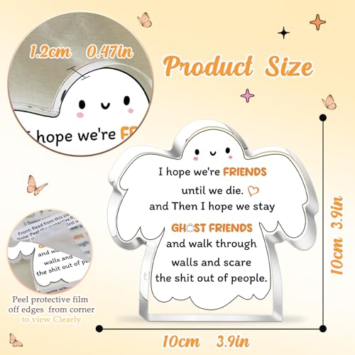 Ghost Friends Acrylic Plaque Funny Best Friend Desk Decor Gift
