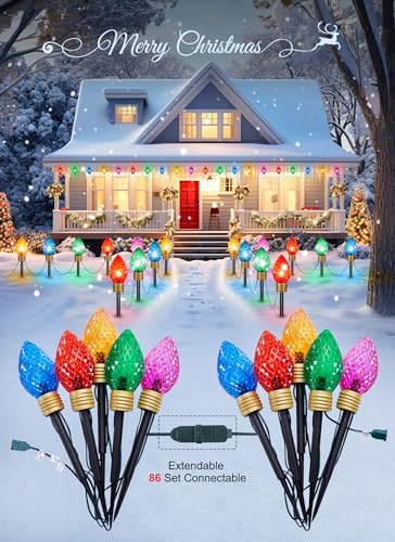 Outdoor Christmas Pathway Lights 2 Pack Jumbo C9 Strawberry Bulbs 10.5 Feet