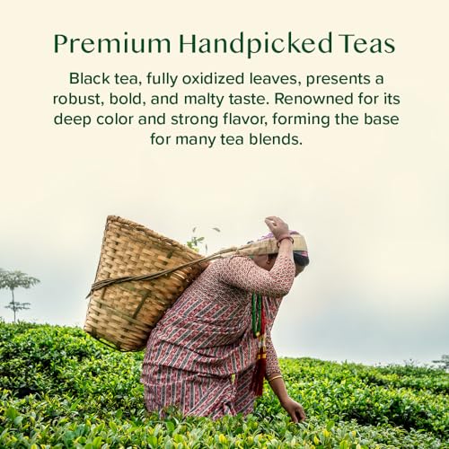 VAHDAM Black Tea Sampler Gift Set - 10 Premium Loose Leaf Tea Blends