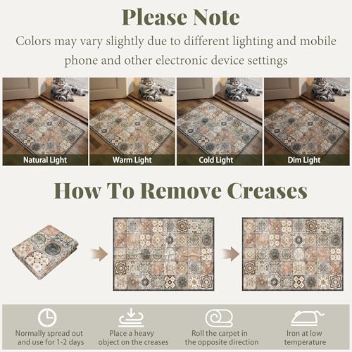 NoiFamo 2x3 Washable Area Rug, Boho Non-Slip Low Pile Entryway Door Mat