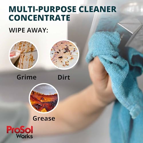 ProSol Works Heavy Duty Grease Cutter - 16 oz Kitchen Degreaser Spray