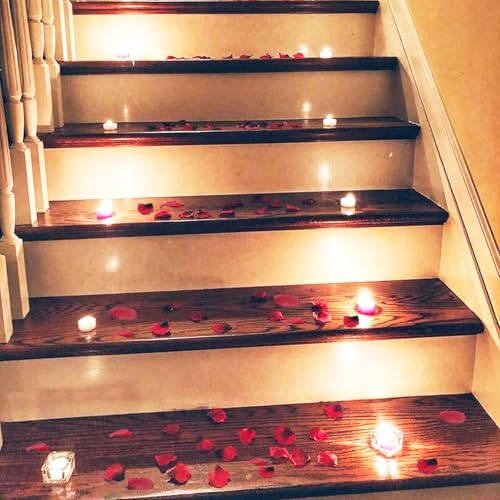 Grever 1000 Pcs Artificial Silk Rose Petals for Romantic Decor
