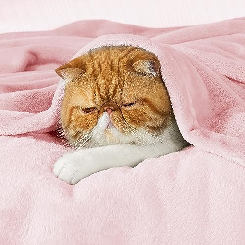 Bedsure GentleSoft Fleece Throw Blanket - Pink, 50x60 Inch Cozy Soft Throw