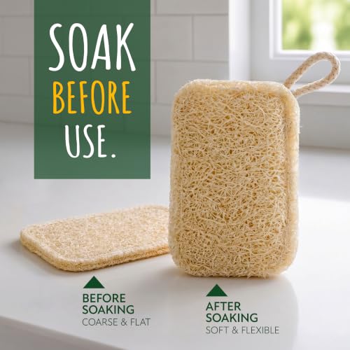 Natural Loofah Dish Sponge 3-Pack - Biodegradable Kitchen Cleaners