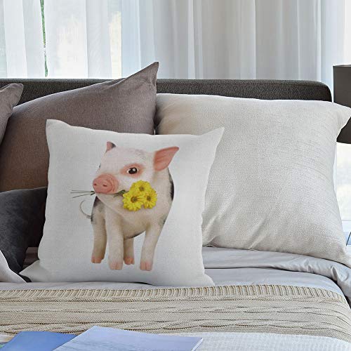 Cute Pink Pig Decorative Throw Pillow Cover - 18x18 Inches
