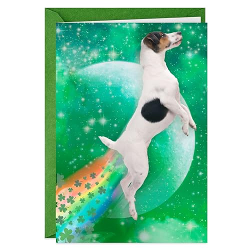 Funny St. Patrick's Day Card - Dog Tooting Rainbows
