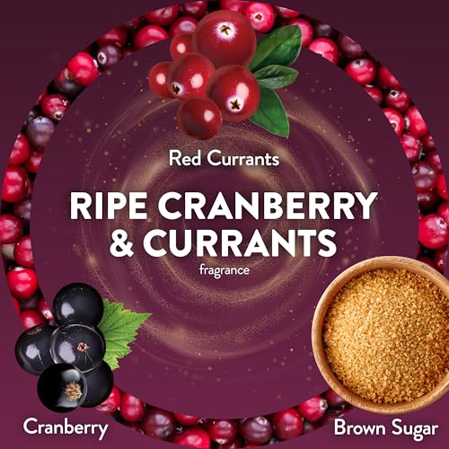 Air Wick Plug-In Refills 0.67 Fl Oz Pack of 20 Ripe Cranberry & Currants Scented Oil