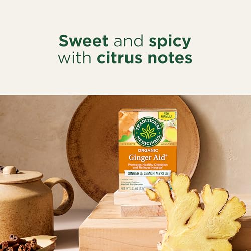 Organic Ginger Aid Tea - 16 Count - Digestive Support