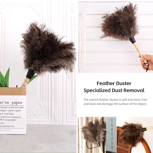 iHUFeather 14-Inch Ostrich Feather Duster - 2 Pieces, Eco-Friendly with Wooden Handle