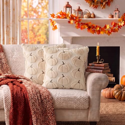 DANGEAB Fall Pumpkin Pillow Covers 18x18, Beige Set of 2 Autumn Decor