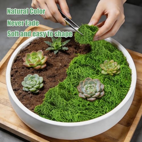 5.3oz Artificial Green Moss for DIY Crafts & Home Decor