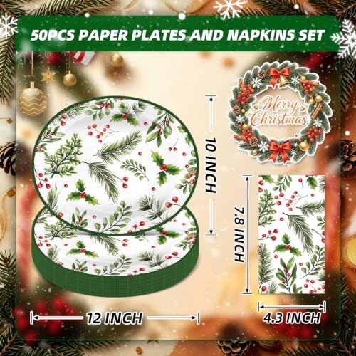 Christmas Oval Paper Plates and Napkins Set 50 Pcs - Holiday Party Supplies