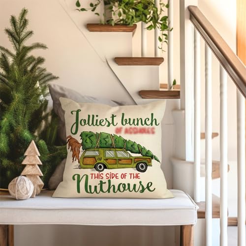 18x18 Inch Christmas Vacation Throw Pillow Cover Set of 4 - Holiday Decor