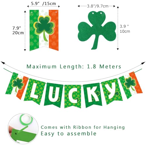St. Patrick's Day Banner Decorations 2 Pack - LUCKY Banner and Shamrock Pom Pom Garland