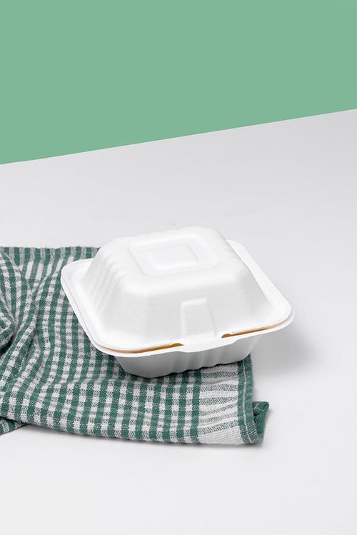 Greenprint 100% Compostable Sugarcane 6x6 Single Compartment Clamshell Take Out Containers - Eco-Friendly, PFSA Free, Disposable To-Go Box for Burgers, Sandwiches, Salads, and Hot/Cold Meals, 500 CT