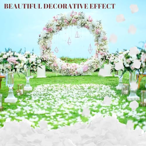 Black Silk Rose Petals - Realistic Non-Woven Flower Petals, 1000 PCS
