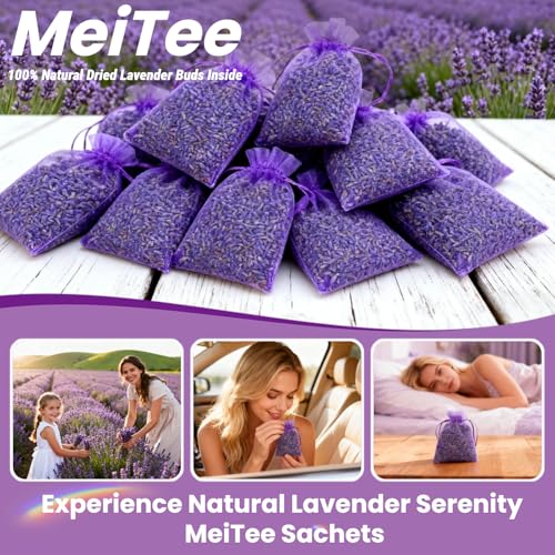 French Lavender Sachets - 20 Pack for Fresh Scent in Homes & Cars