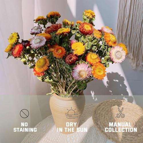 Asenfish 45-60pcs Natural Dried Flower Heads for Crafts & Decor