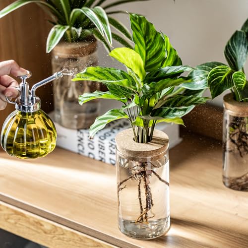 Set of 2 Glass Propagation Vases for Plants - Large & Small