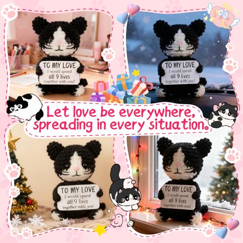 Handmade Crochet Black Cat Gift for Couples | My Love Reminder