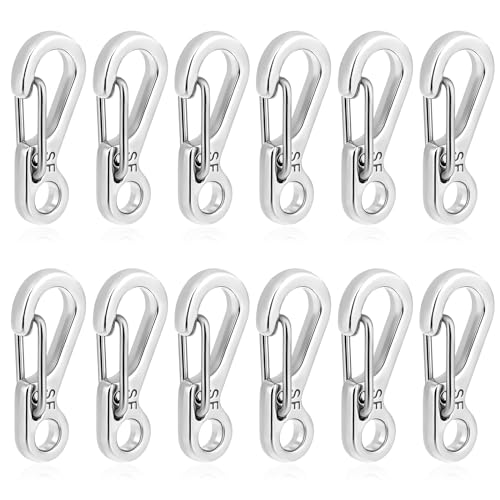12 Pcs Tiny Carabiner Clip Metal Small Spring Snap Hooks, 1 inch Key Chain Clip Hooks Metal Swivel Clasps Lanyard Snap Hook Carabiners for Backpack Keychains Accessories(Silver)