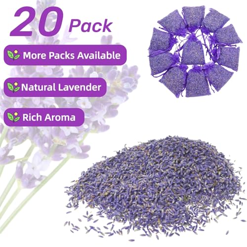 French Lavender Sachets - 20 Pack for Fresh Scent in Homes & Cars