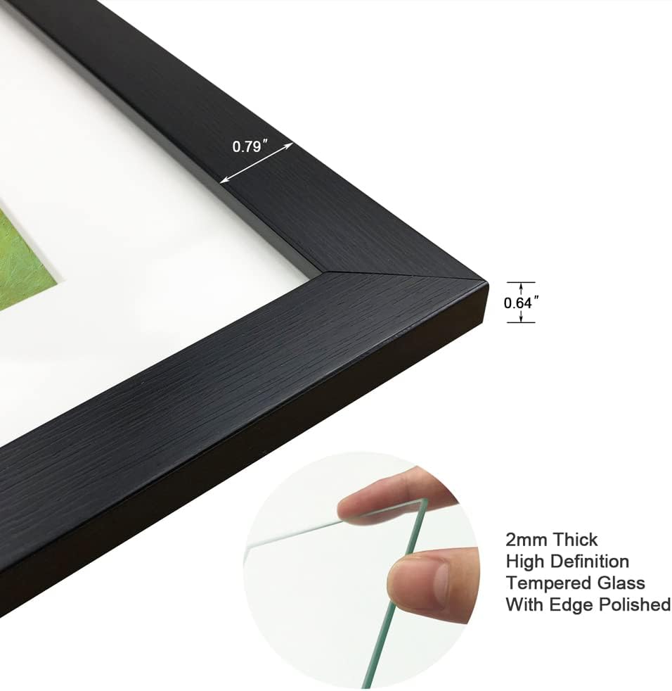 Skiennix 11x14 Picture Frame Set of 6 - Real Glass for 8x10 Photos with Mat or 11x14 Without Mat | Black Display Frames