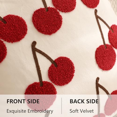 LUOYEHK Christmas Velvet Pillow Covers 18x18 Set of 2