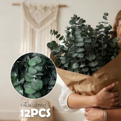 12 PCS Preserved Eucalyptus Stems - 17” Natural Aromatic Decor
