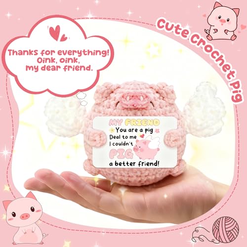 Handmade Crochet Pink Pig | Funny Friendship Gift for Women