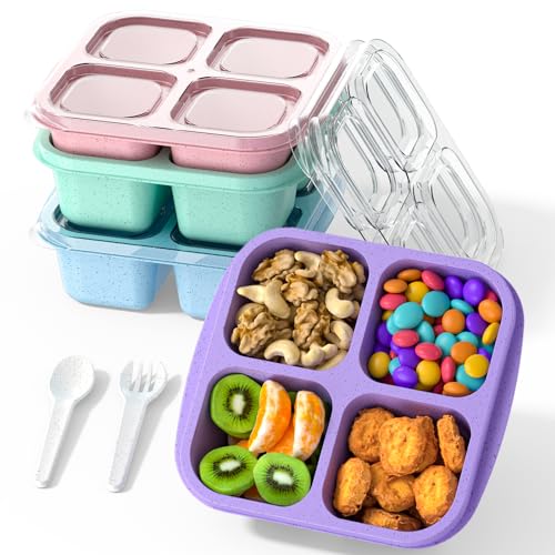 Bento Snack Containers 4-Pack - 4-Compartment Meal Prep in Green, Blue, Purple