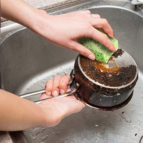 SCRUBIT Cellulose Scrub Sponges - 6 Pack Durable Cleaning Pads