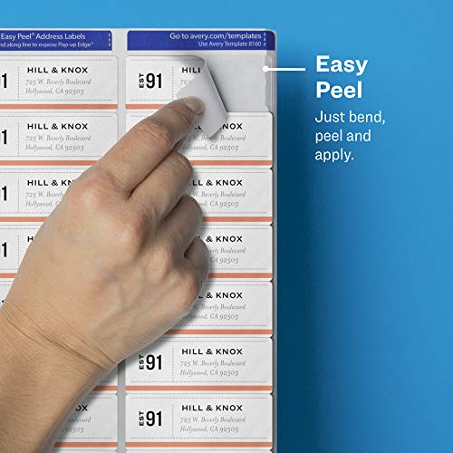 Avery Clear Address Labels, 1 x 2-5/8 Inch, Matte Finish, 300 Labels (Pack of 5)