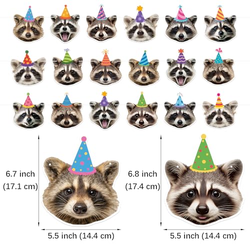 Raccoon Birthday Banner Set | 3 Pre-Strung Party Decorations