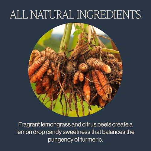 Rishi Tea Organic Turmeric Ginger Herbal Tea, Caffeine-Free, 30 Count