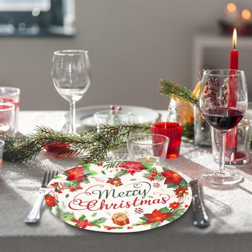 Christmas Paper Plates 24 Pack - Holiday Disposable Serving Plates with Poinsettia Design