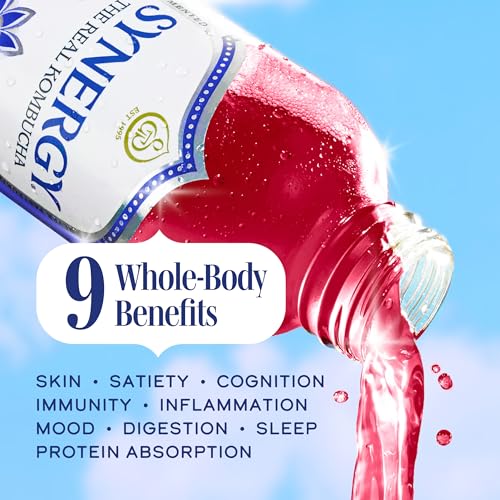 SYNERGY Gingerberry Kombucha - 16 fl oz Raw Probiotic Drink