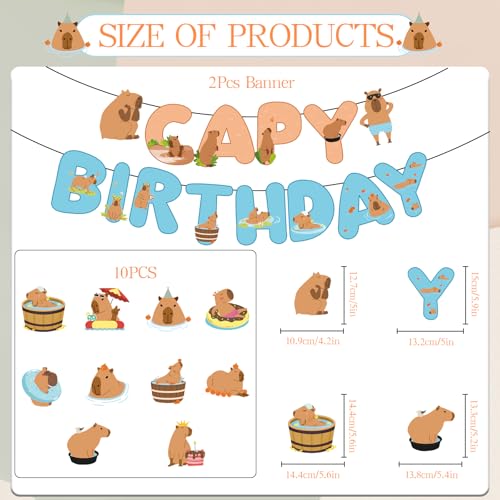 Capybara Birthday Party Decorations Set - 10-Piece Banner and Swirl Kit